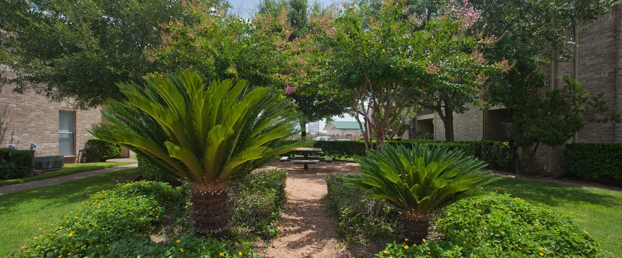 Courtyard Picnic Area with Foliage